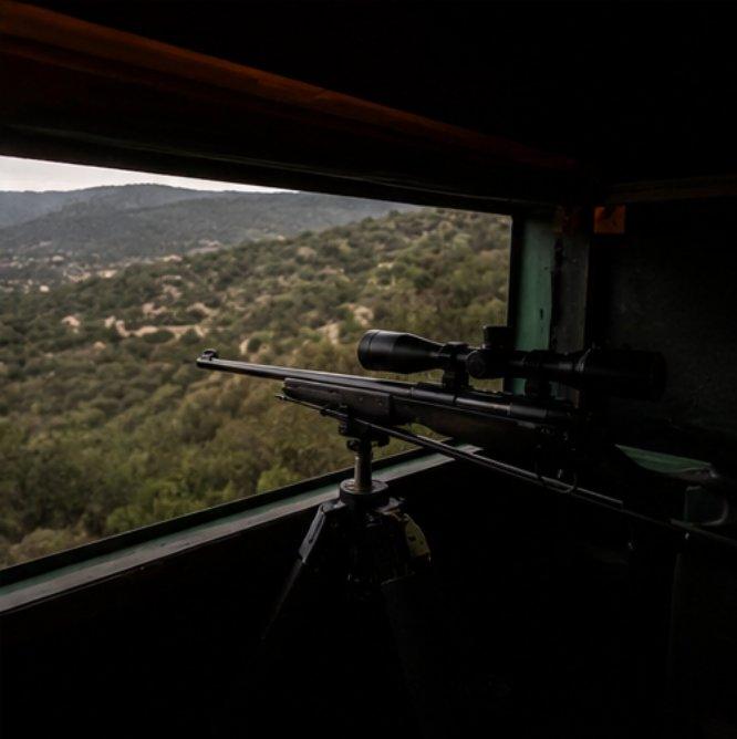 Interior puesto de aguardo de jabalí — visor nocturno en Finca Reina Marín