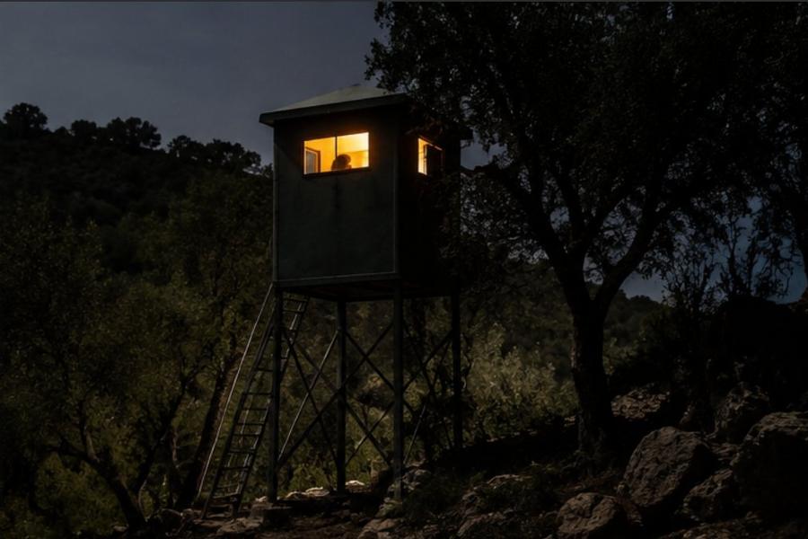 Torre de aguardo de jabalí nocturno — Finca Reina Marín Sevilla